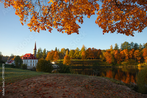 Bright sunny autumn landscape . Autumn picture. Photo for the autumn calendar. High quality photo