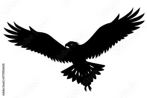 Hawk silhouette vector, Flying hawk bird black symbol 