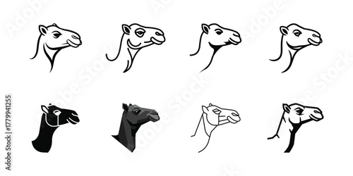 Camel Head Illustrations in Various Styles and Expressions