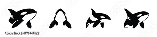 Orca Whale Illustrations A Series of Black and White Killer Whale Silhouettes