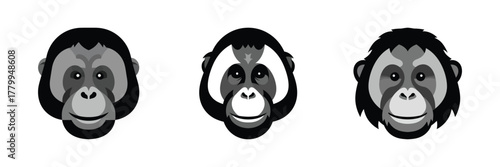 Three monkey faces, each displaying a different expressive cartoon-like style