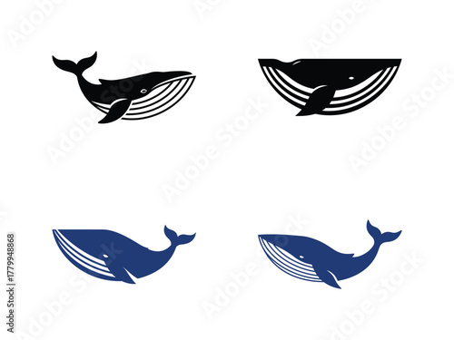 Whale Icon Set Vector Graphics of Aquatic Mammals for Design and Branding