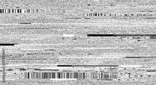 Digital Static: The image captures a complex composition of monochromatic static, the screen shows disrupted data transmission, digital disruption.