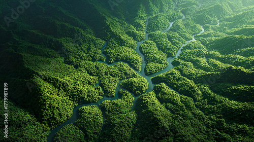 上空から見た複雑な地形のジャングルの風景