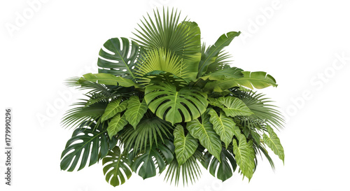 Lush Green Tropical Plant Arrangement With Large Textured Leaves And Feathery Fronds Isolated Transparent Background