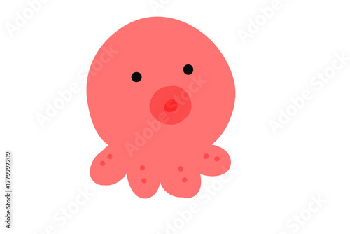 たこ　海の生き物　