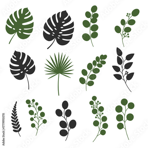 Tropical Leaves Collection with Monstera and Palm Silhouette