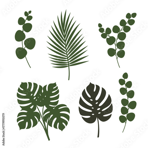 Tropical Leaves Collection with Monstera and Palm Silhouette