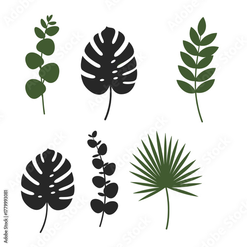 Tropical Leaves Collection with Monstera and Palm Silhouette