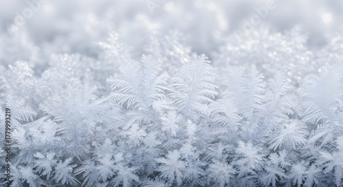 Snow covered tree branches in a cold winter forest landscape