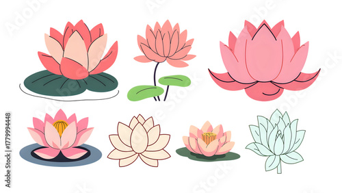 set of lotus flowers