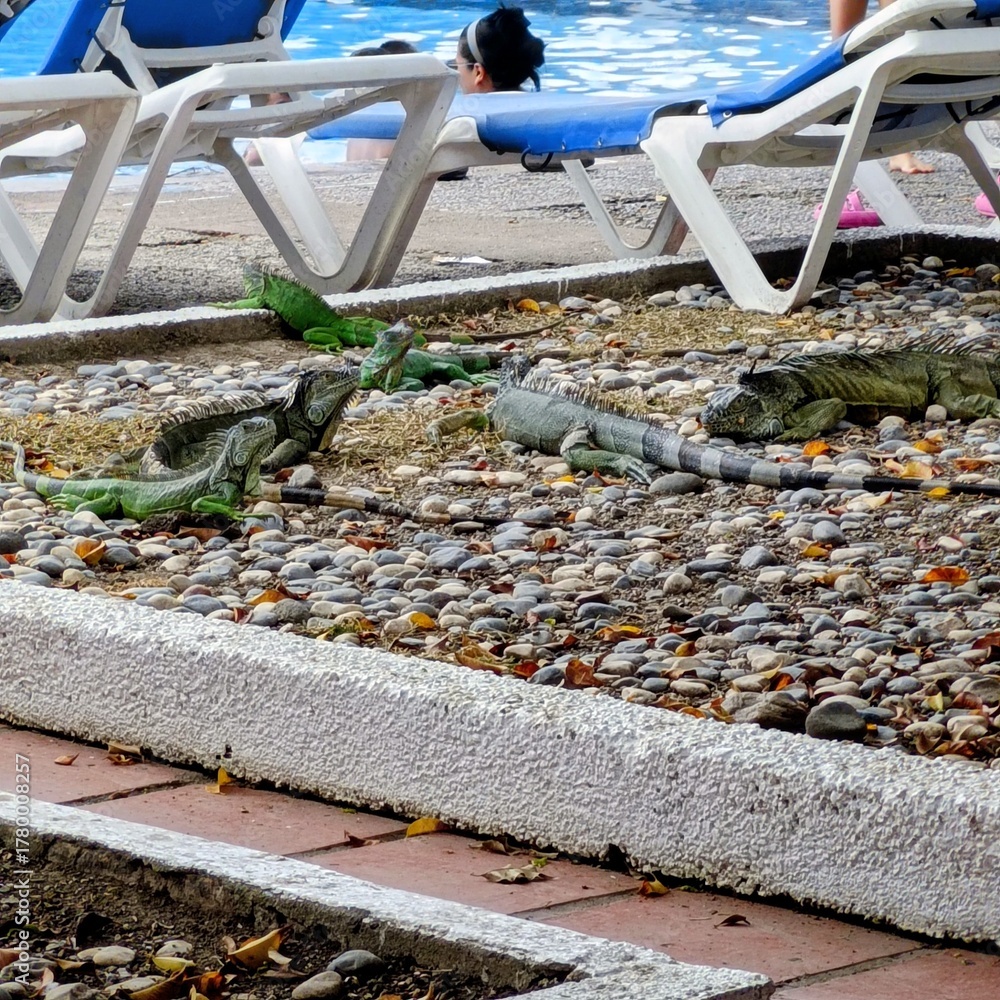 Obraz premium fish on the beach