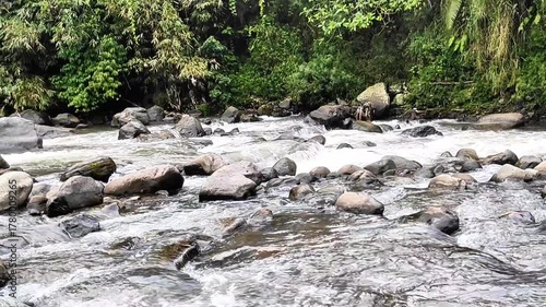 Fast Flowing Rocky River in Lush Green Tropical Forest
