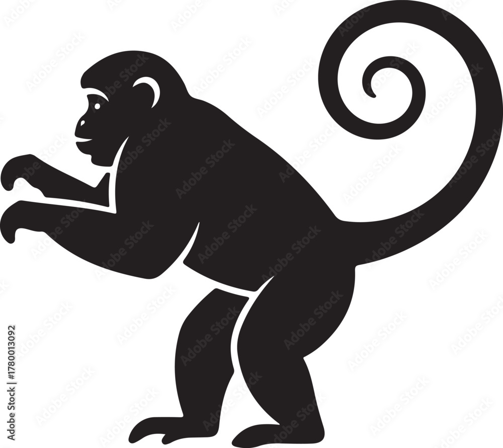 Fototapeta premium Woolly Monkey