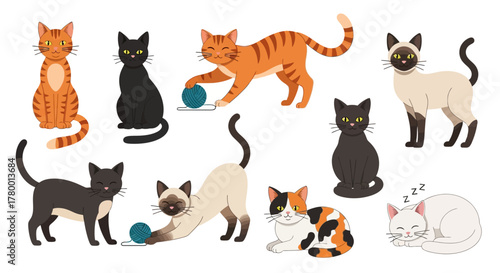 Collection of cute cartoon cats of different breeds and colors. Playful kittens, sleeping felines, and domestic pets set