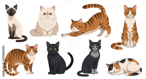 Collection of nine different domestic cats displayed in a variety of poses and breeds