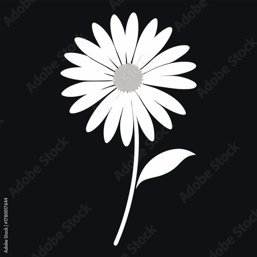  gerbera-daisy white silhouette 