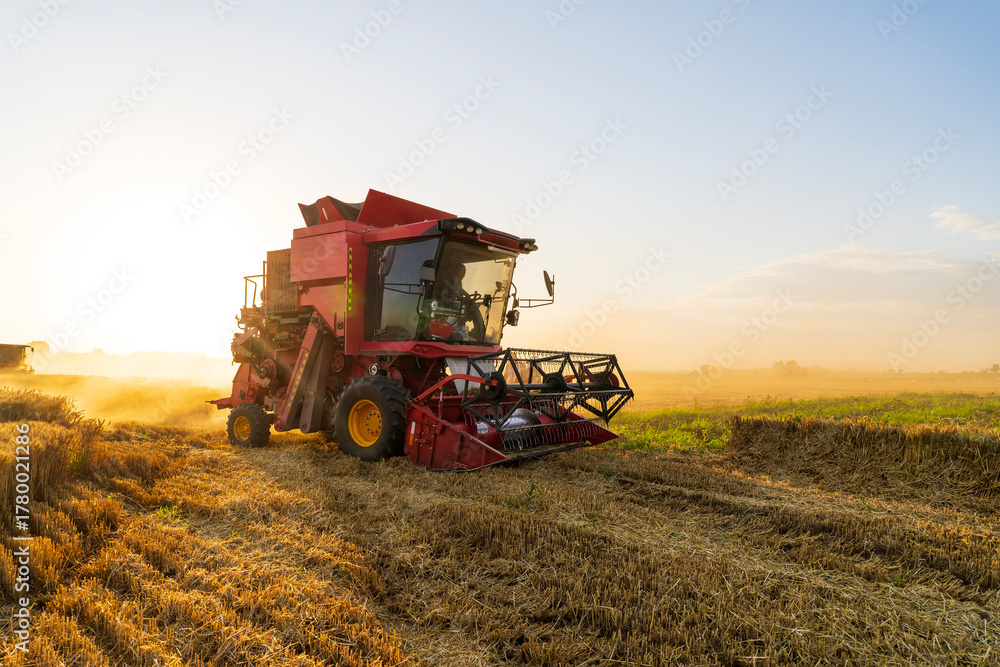 Obraz premium The combine is harvesting the wheat in the evening