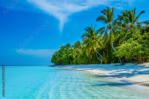 Fototapeta Naklejka Na Ścianę i Meble -  Tropical island beach landscape exotic shore coast. Tranquil closeup calm sea water waves with palm trees. Beautiful Panorama. Summer vacation, holiday amazing nature. Relax paradise, Maldives.