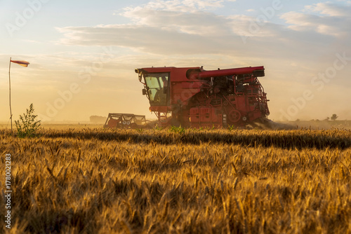 The combine is harvesting the wheat in the evening