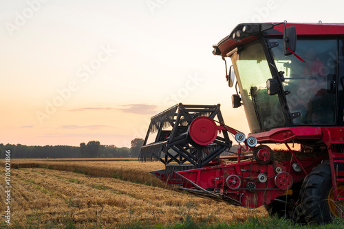 The combine is harvesting the wheat in the evening