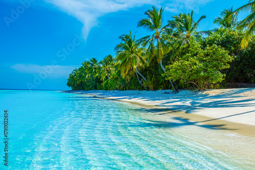 Fototapeta Naklejka Na Ścianę i Meble -  Summer vacation, holiday amazing nature. Relax paradise, Maldives. Tropical island beach landscape exotic shore coast. Tranquil closeup calm sea water waves with palm trees. Beautiful Panorama. 
