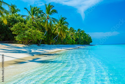 Fototapeta Naklejka Na Ścianę i Meble -  Summer vacation, holiday amazing nature. Relax paradise, Maldives. Tropical island beach landscape exotic shore coast. Tranquil closeup calm sea water waves with palm trees. Beautiful Panorama. 