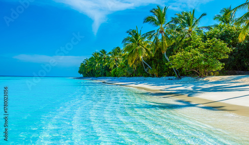 Fototapeta Naklejka Na Ścianę i Meble -  Tropical island beach landscape exotic shore coast. Tranquil closeup calm sea water waves with palm trees. Beautiful Panorama. Summer vacation, holiday amazing nature. Relax paradise, Maldives.