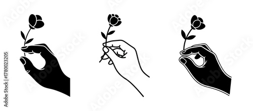 Set of three illustrations of a hand holding a single flower, presented in silhouette and line art styles.