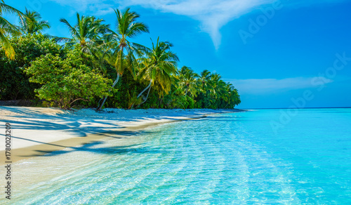 Fototapeta Naklejka Na Ścianę i Meble -  Summer vacation, holiday amazing nature. Relax paradise, Maldives. Tropical island beach landscape exotic shore coast. Tranquil closeup calm sea water waves with palm trees. Beautiful Panorama. 