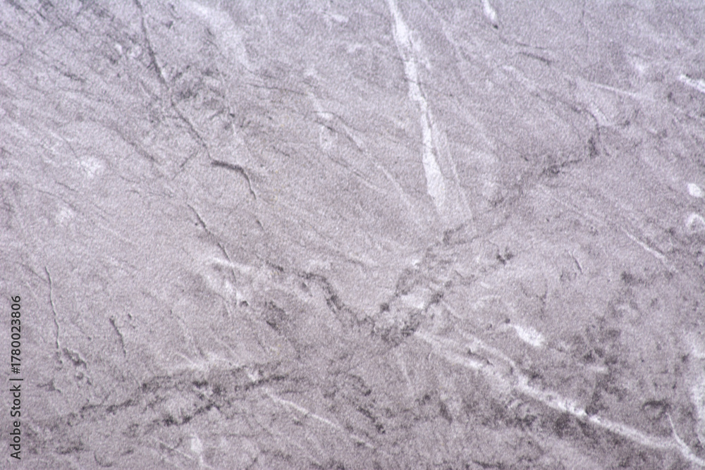 Obraz premium Light gray granite, polished natural stone surface with white and black veins, close-up.