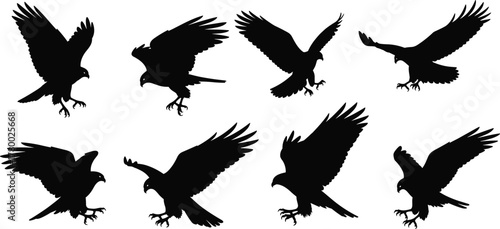 Bird of prey silhouettes, eagle hawk shapes, flying raptor poses, wildlife vector, talon spread, predator motion, black bird anatomy, isolated icons