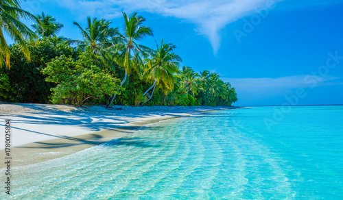 Fototapeta Naklejka Na Ścianę i Meble -  Summer vacation, holiday amazing nature. Relax paradise, Maldives. Tropical island beach landscape exotic shore coast. Tranquil closeup calm sea water waves with palm trees. Beautiful Panorama. 