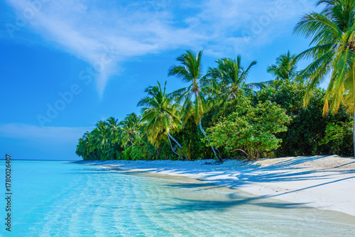Fototapeta Naklejka Na Ścianę i Meble -  Beautiful Panorama. Tranquil closeup calm sea water waves with palm trees.Tropical island beach landscape exotic shore coast.  Summer vacation, holiday amazing nature. Relax paradise, Maldives.