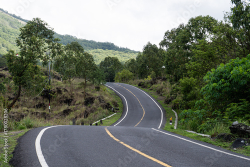 Long road in the mountains with pine forest ahead and clear blue sky