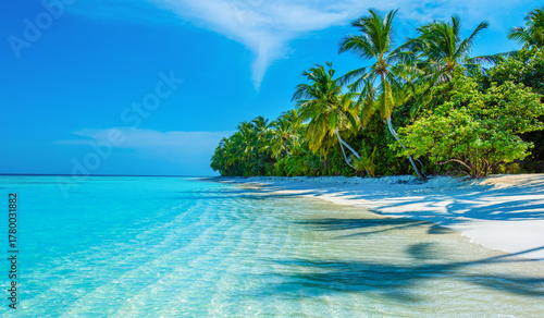 Fototapeta Naklejka Na Ścianę i Meble -  Tranquil closeup calm sea water waves with palm trees. Beautiful Panorama. Tropical island beach landscape exotic shore coast. Summer vacation, holiday amazing nature. Relax paradise, Maldives.