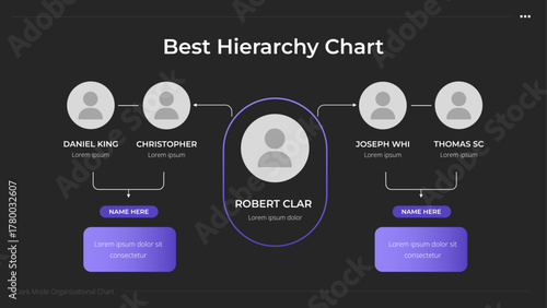 Organization Structure Infographic