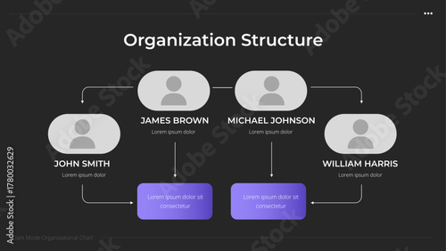 Organization Structure Infographic