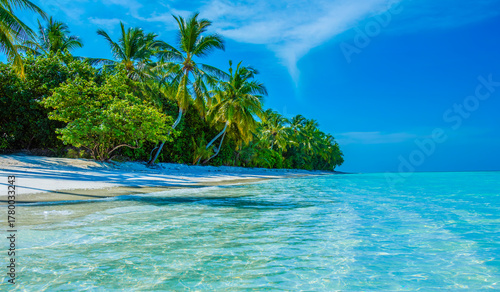 Fototapeta Naklejka Na Ścianę i Meble -  Tropical island beach landscape exotic shore coast. Tranquil closeup calm sea water waves with palm trees. Beautiful Panorama. Summer vacation, holiday amazing nature. Relax paradise, Maldives.
