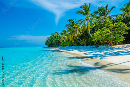 Fototapeta Naklejka Na Ścianę i Meble -  Tropical island beach landscape exotic shore coast. Tranquil closeup calm sea water waves with palm trees. Beautiful Panorama. Summer vacation, holiday amazing nature. Relax paradise, Maldives.