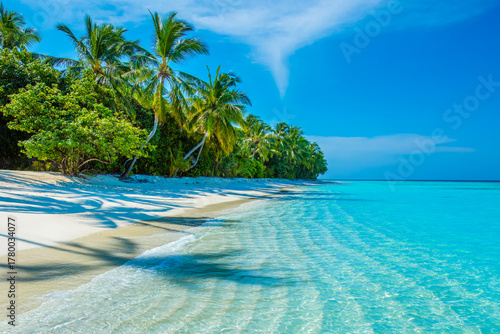 Fototapeta Naklejka Na Ścianę i Meble -  Tranquil closeup calm sea water waves with palm trees. Beautiful Panorama. Tropical island beach landscape exotic shore coast. Summer vacation, holiday amazing nature. Relax paradise, Maldives.