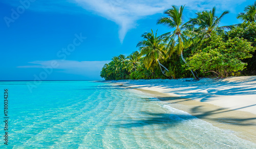 Fototapeta Naklejka Na Ścianę i Meble -  Tropical island beach landscape exotic shore coast. Tranquil closeup calm sea water waves with palm trees. Beautiful Panorama. Summer vacation, holiday amazing nature. Relax paradise, Maldives.