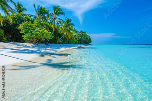 Fototapeta Naklejka Na Ścianę i Meble -  Tropical island beach landscape exotic shore coast. Tranquil closeup calm sea water waves with palm trees. Beautiful Panorama. Summer vacation, holiday amazing nature. Relax paradise, Maldives.