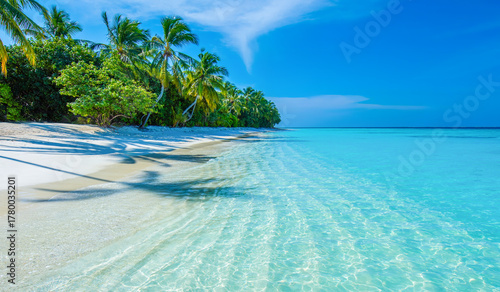 Fototapeta Naklejka Na Ścianę i Meble -  Tranquil closeup calm sea water waves with palm trees. Beautiful Panorama. Tropical island beach landscape exotic shore coast. Summer vacation, holiday amazing nature. Relax paradise, Maldives.