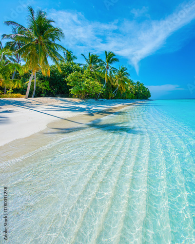 Tropical island beach landscape exotic shore coast. Tranquil closeup calm sea water waves with palm trees. Beautiful Panorama. Summer vacation, holiday amazing nature. Relax paradise, Maldives.