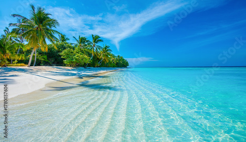 Fototapeta Naklejka Na Ścianę i Meble -  Tropical island beach landscape exotic shore coast. Tranquil closeup calm sea water waves with palm trees. Beautiful Panorama. Summer vacation, holiday amazing nature. Relax paradise, Maldives.