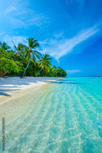 Tropical island beach landscape exotic shore coast. Tranquil closeup calm sea water waves with palm trees. Beautiful Panorama. Summer vacation, holiday amazing nature. Relax paradise, Maldives.