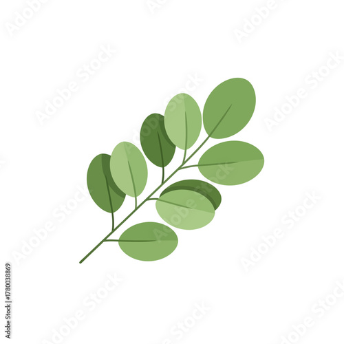 Green leaves isolated on white background representing natural growth and freshness