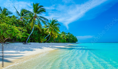 Fototapeta Naklejka Na Ścianę i Meble -  Tropical island beach landscape exotic shore coast. Tranquil closeup calm sea water waves with palm trees. Beautiful Panorama. Summer vacation, holiday amazing nature. Relax paradise, Maldives.