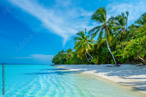 Fototapeta Naklejka Na Ścianę i Meble -  Tropical island beach landscape exotic shore coast. Tranquil closeup calm sea water waves with palm trees. Beautiful Panorama. Summer vacation, holiday amazing nature. Relax paradise, Maldives.